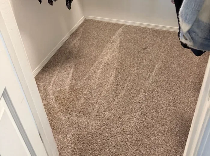 Closet sorted with clothes hung and floor cleared